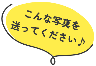 こんな写真を送ってください♪